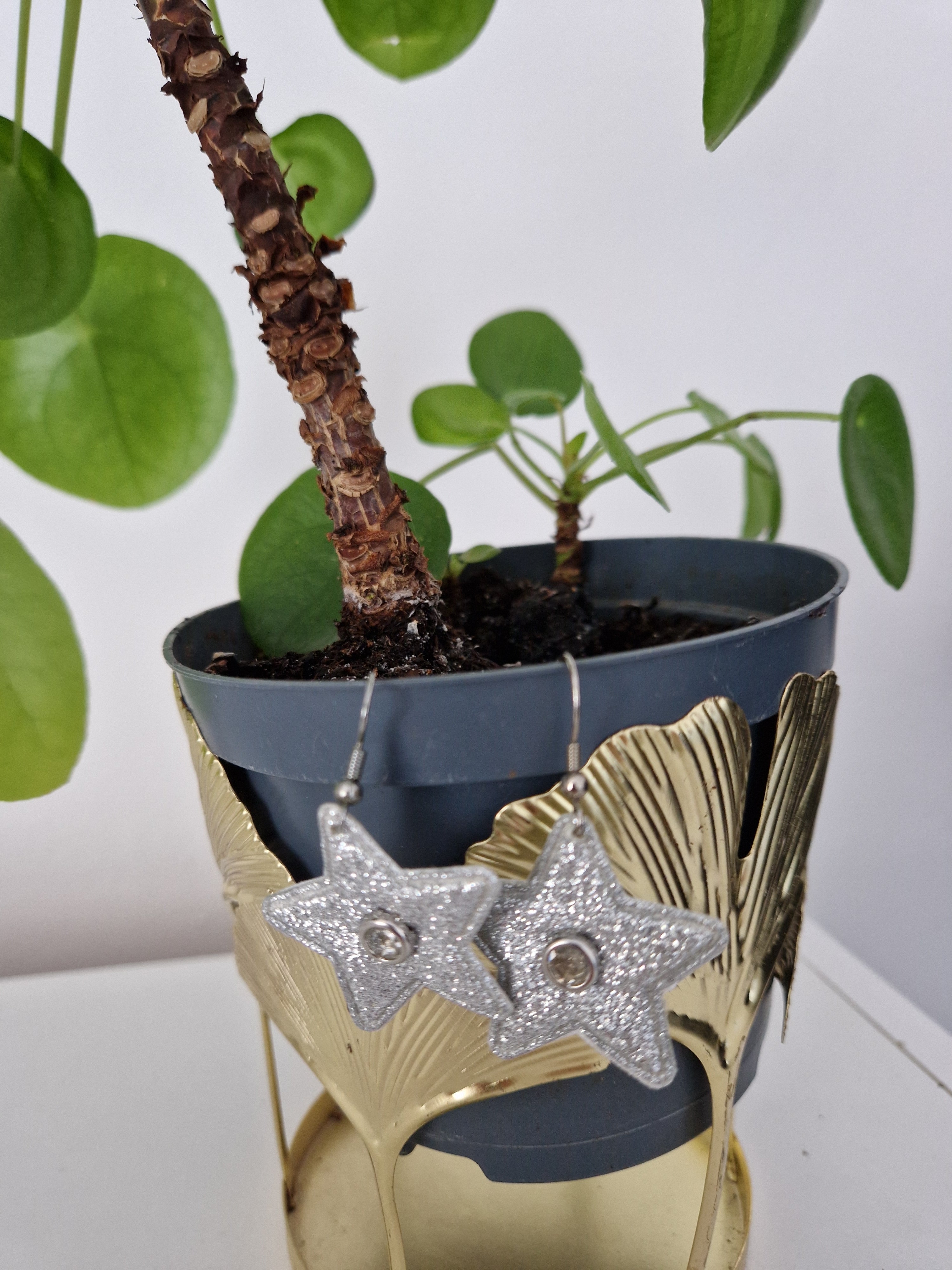 Boucles d'oreilles Etoile argentée