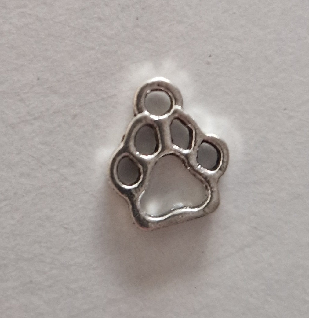 CHARM Empreinte de chien