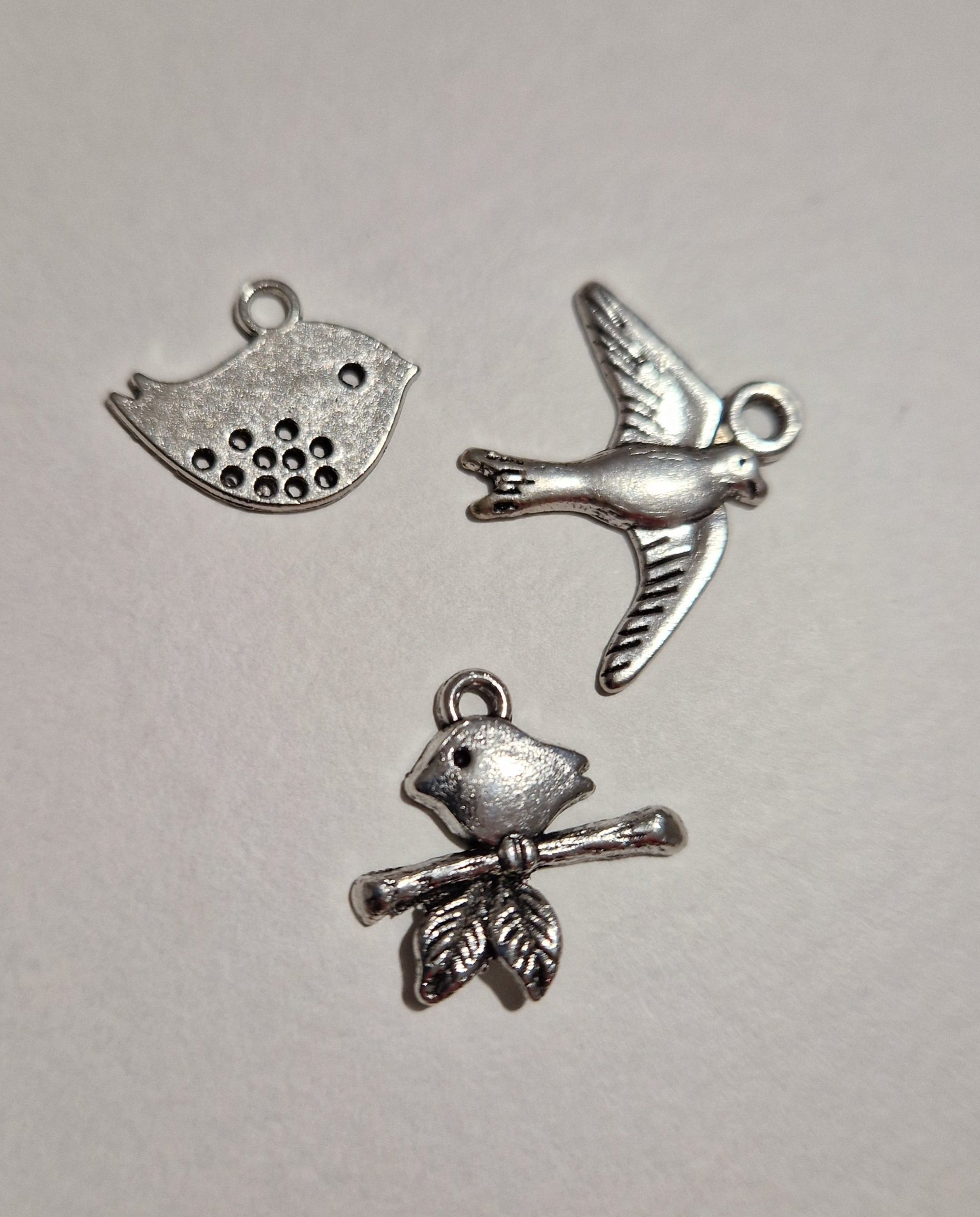 CHARM Oiseau