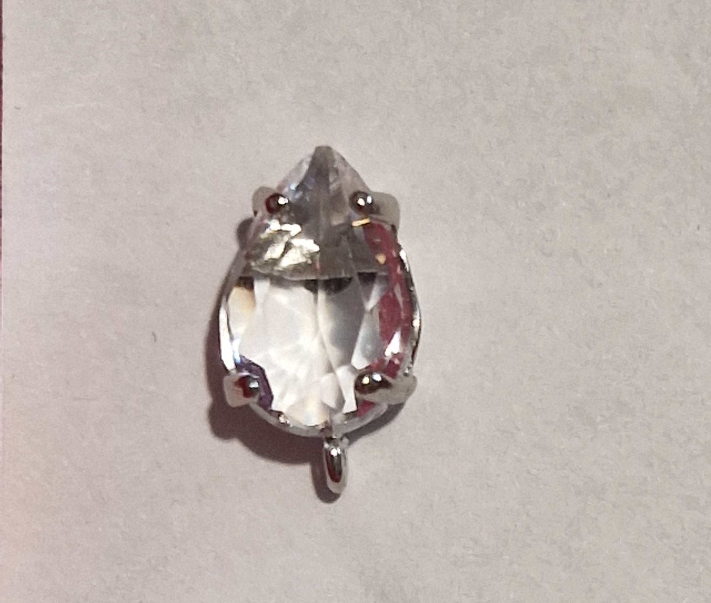 PUCE D'OREILLES - REF P16