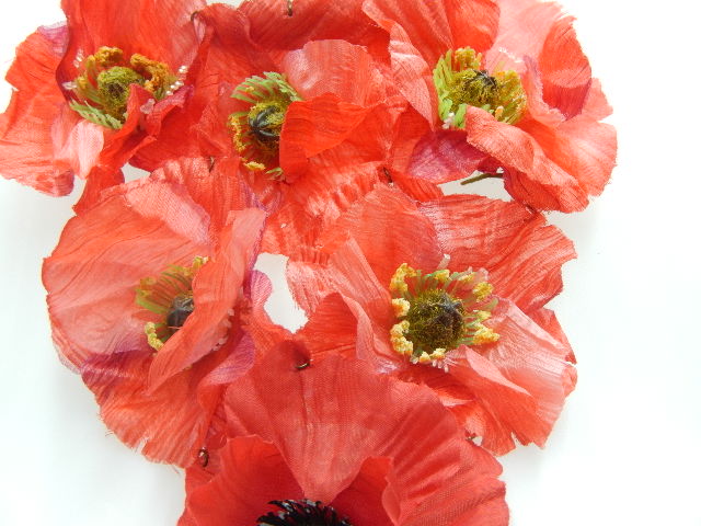 Plastron coquelicots