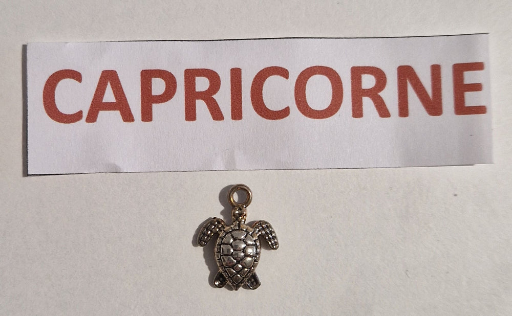 TALISMAN CAPRICORNE