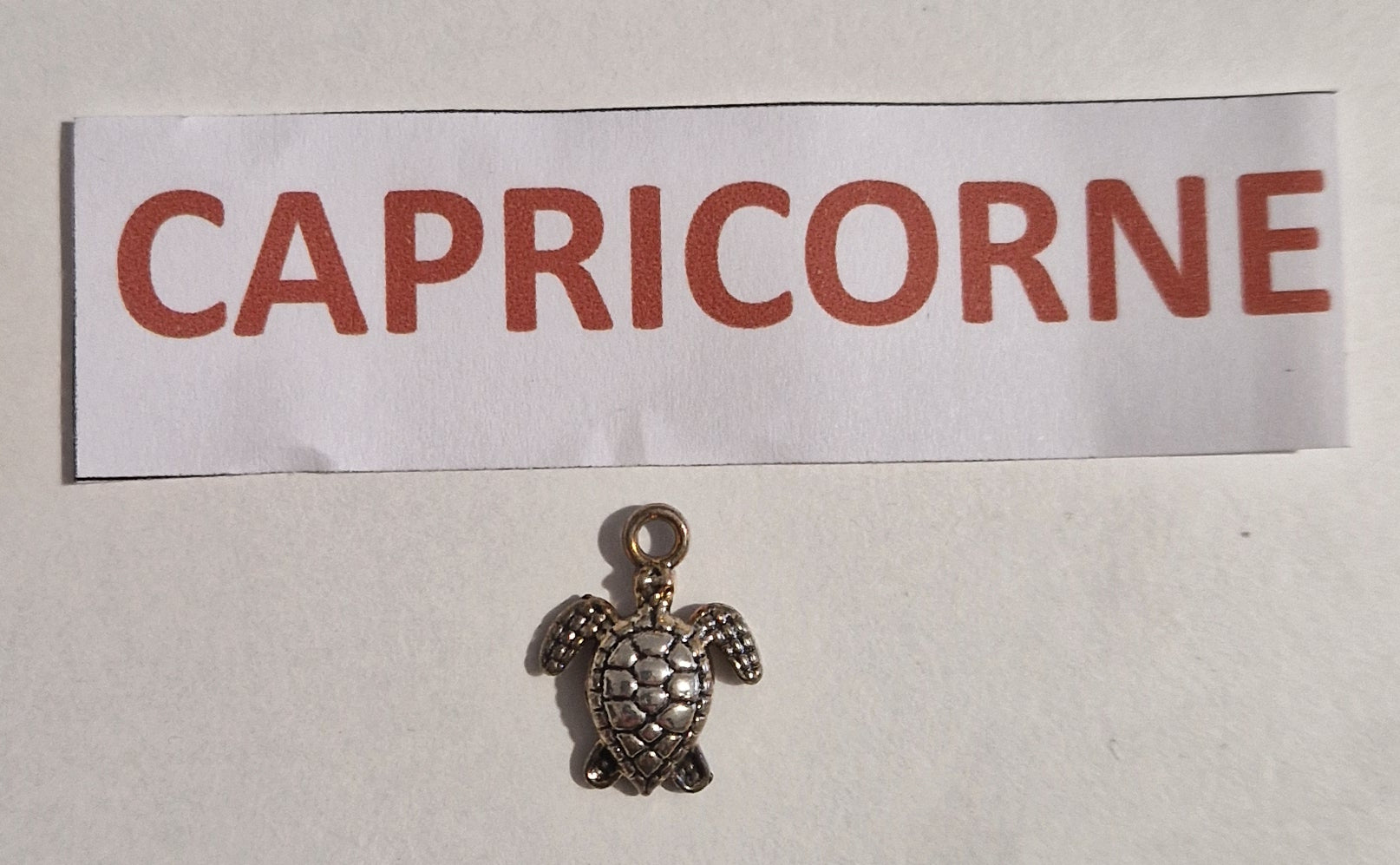 TALISMAN CAPRICORNE