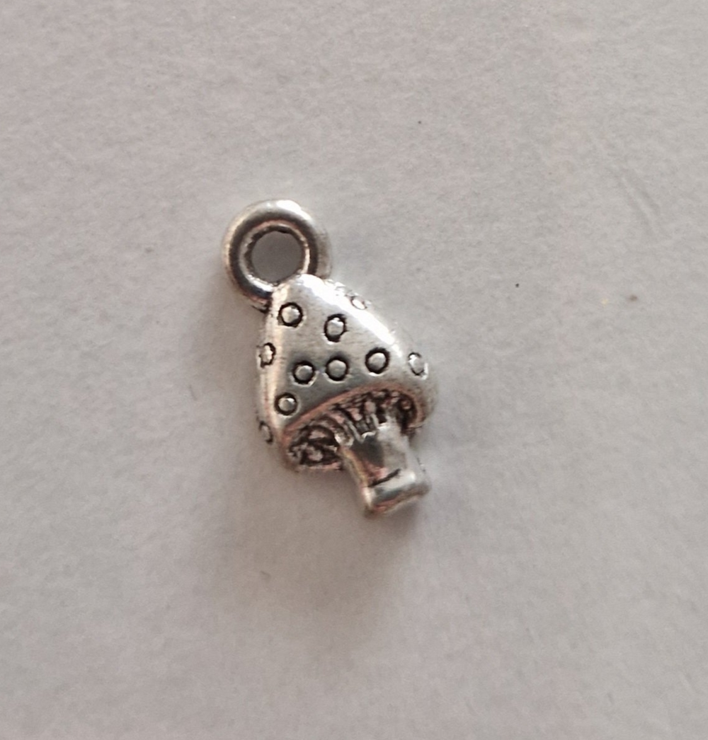 CHARM Champignon