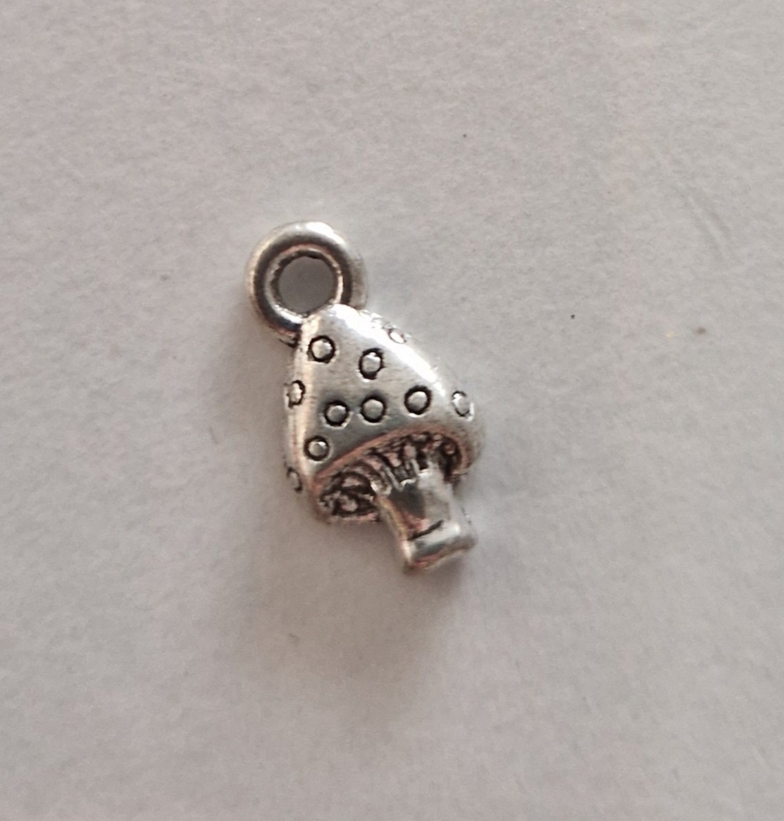 CHARM Champignon