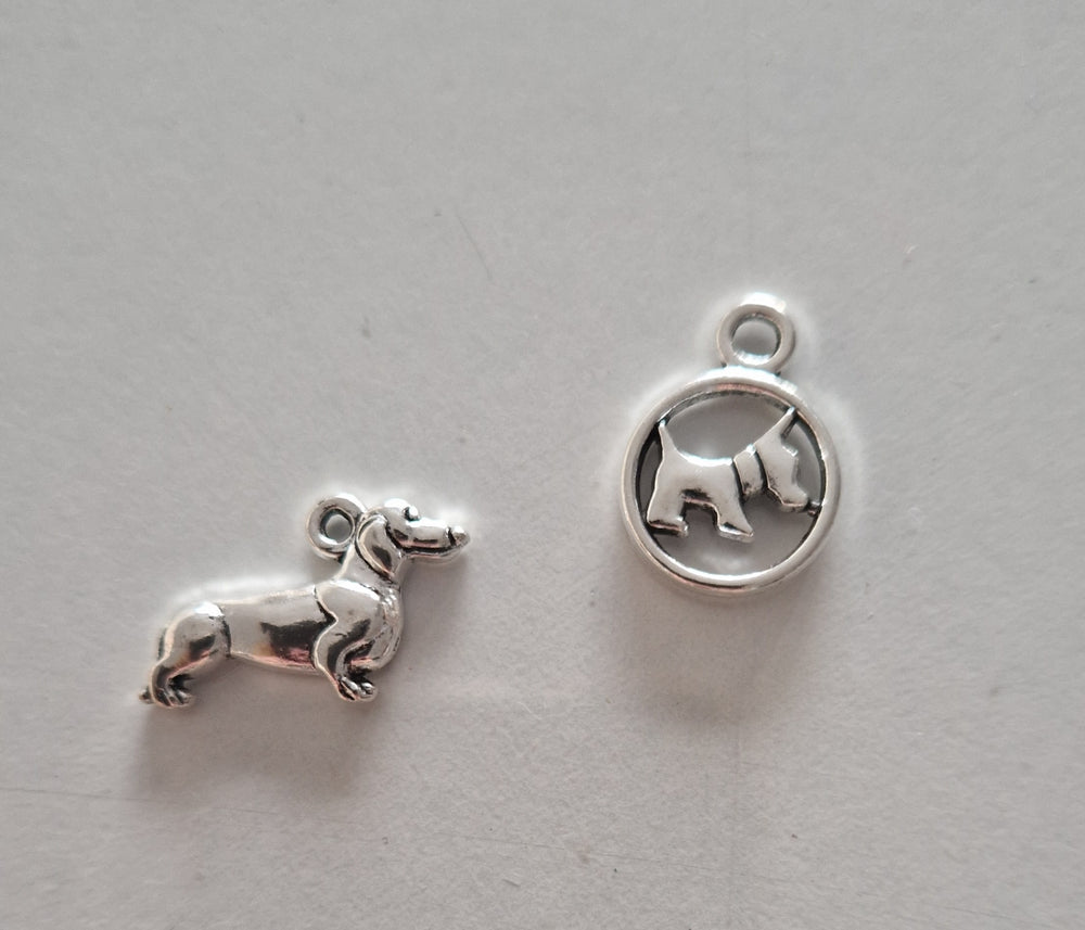 CHARM Chien