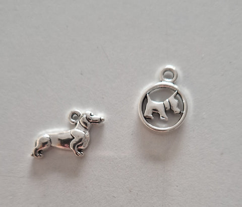 CHARM Chien