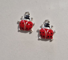 CHARM Coccinelle