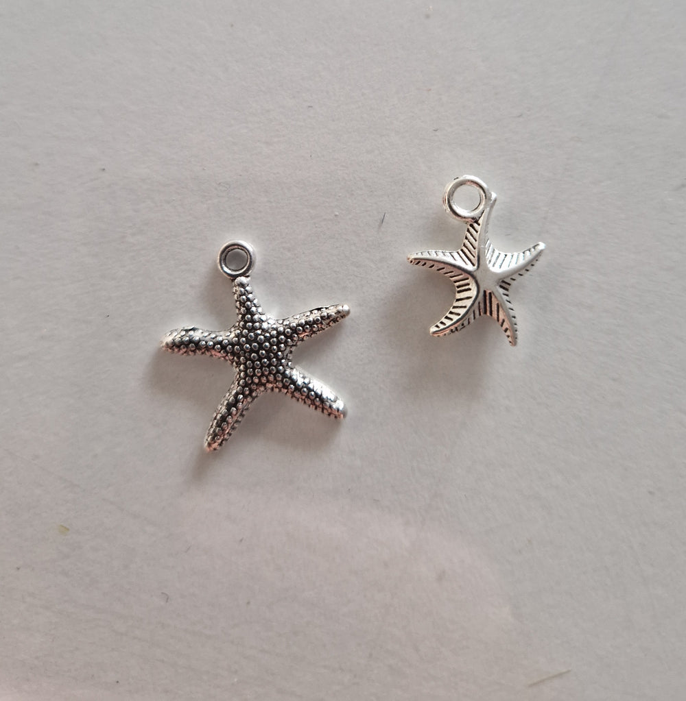 CHARM Etoile de mer