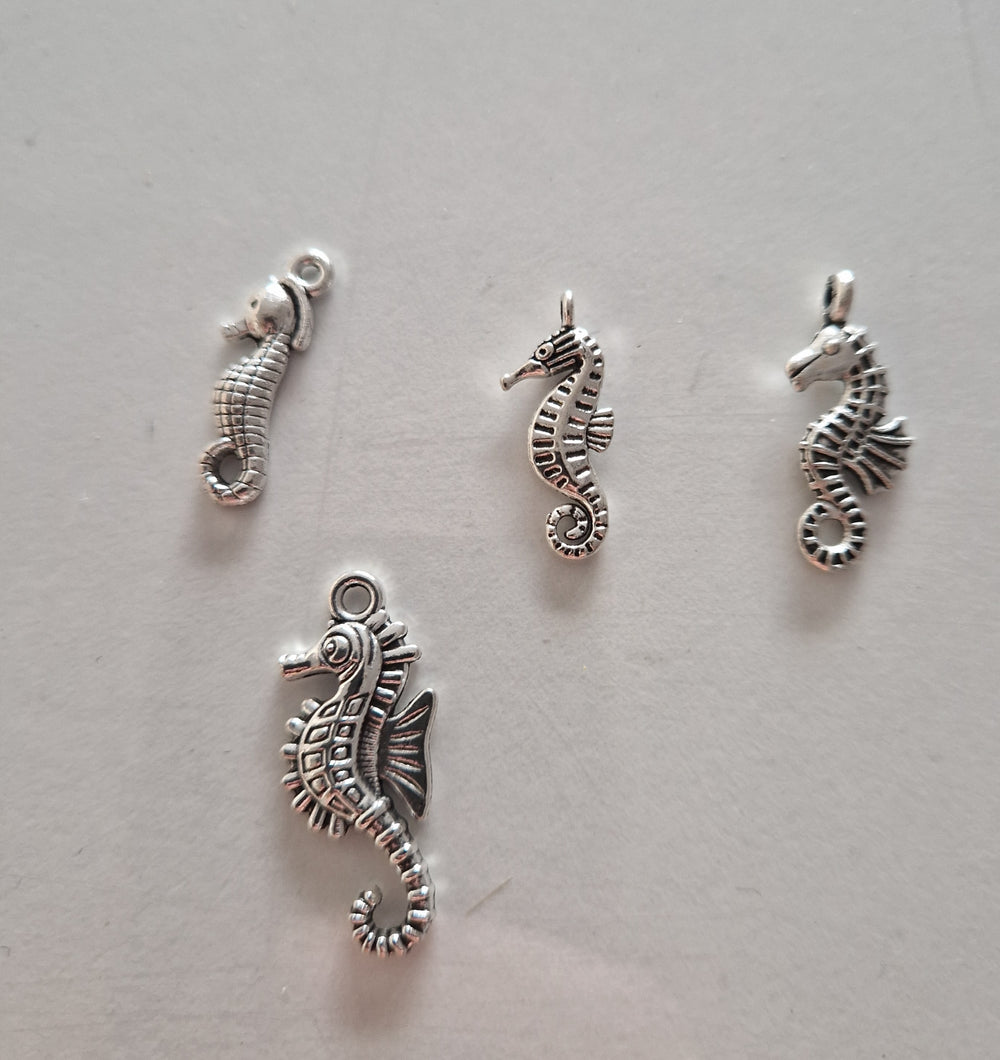 CHARM Hippocampe