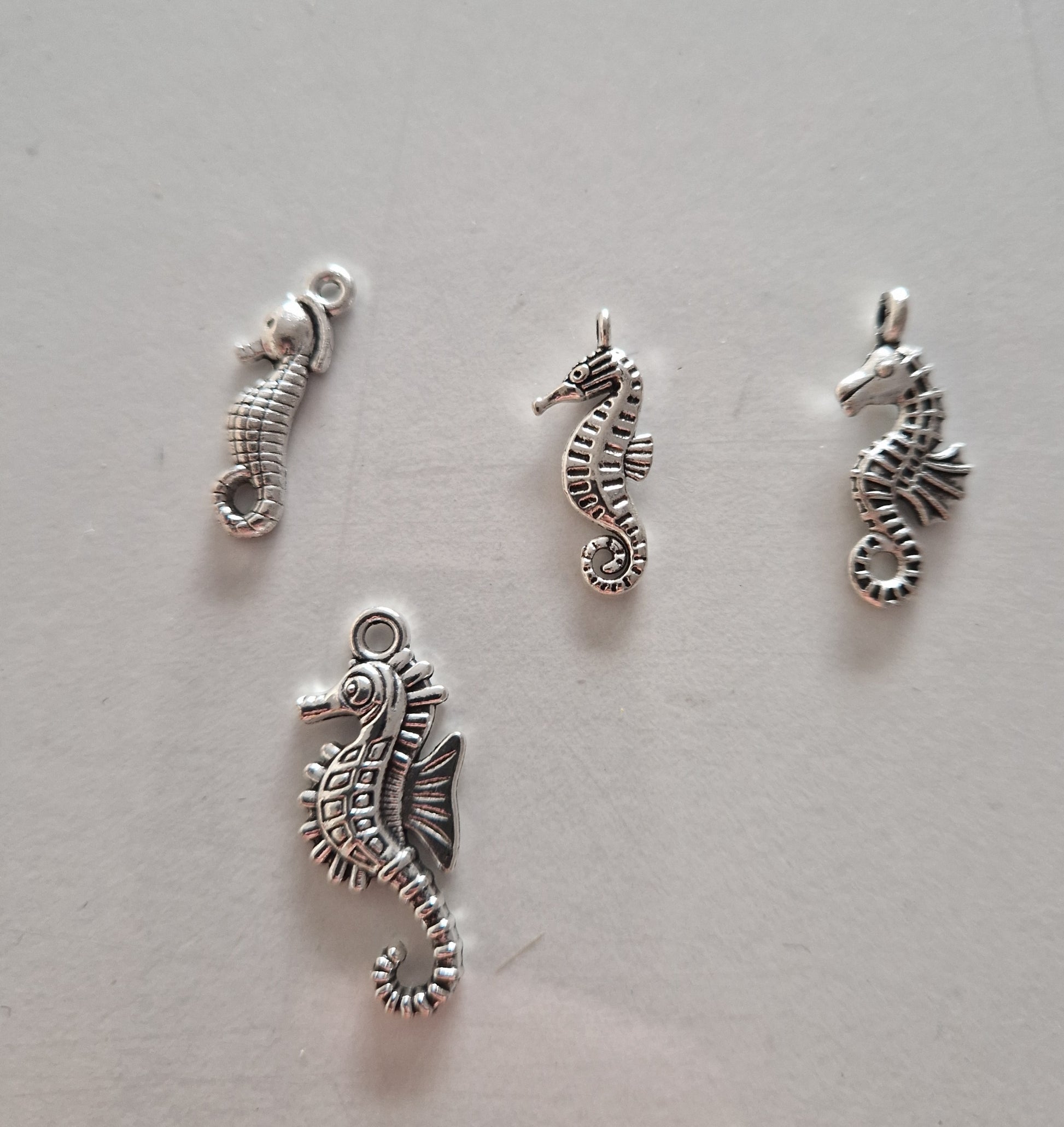 CHARM Hippocampe