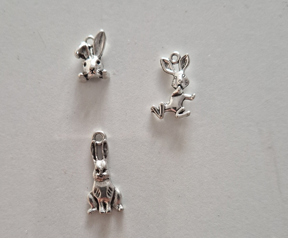 CHARM Lapin