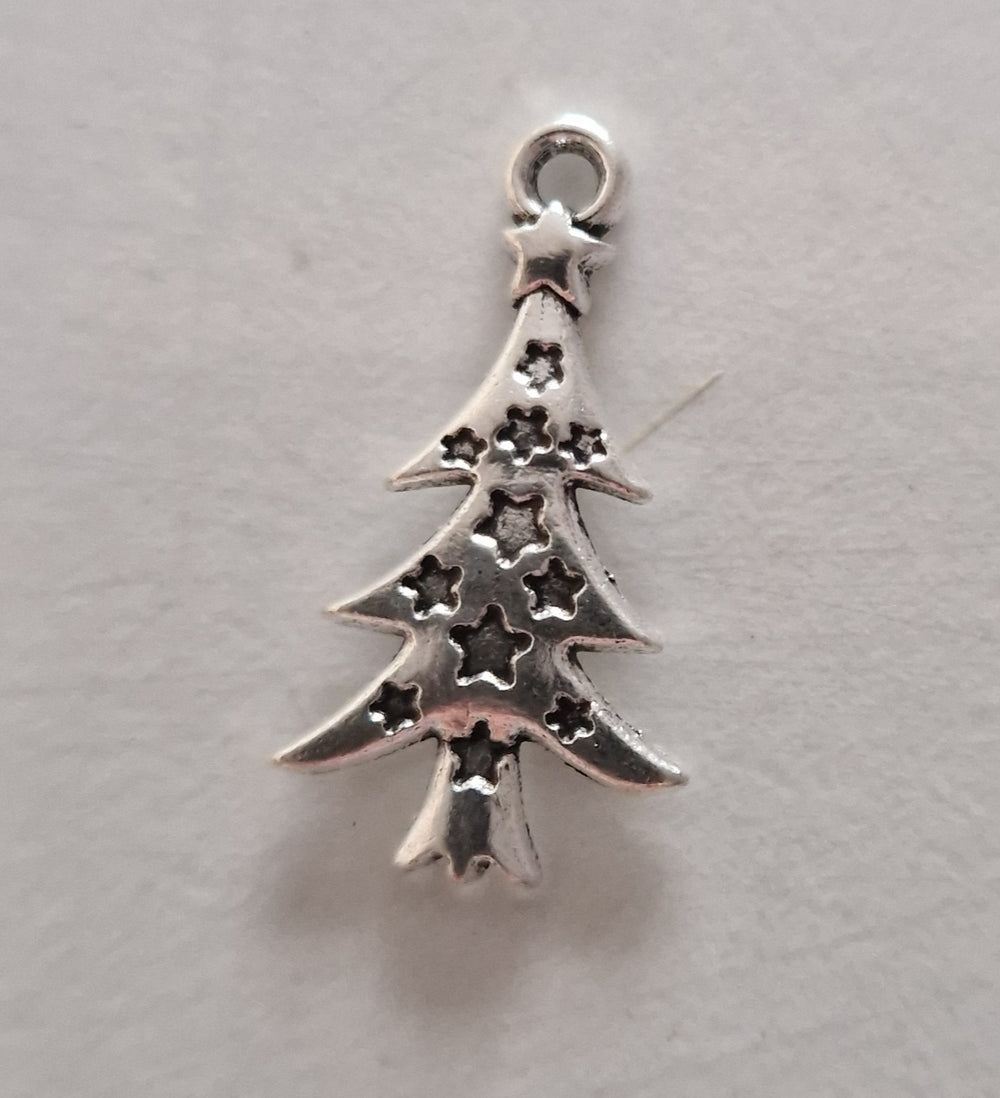 CHARM Noel