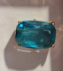 PUCE D'OREILLES - REF P10