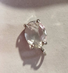 PUCE D'OREILLES - REF P22