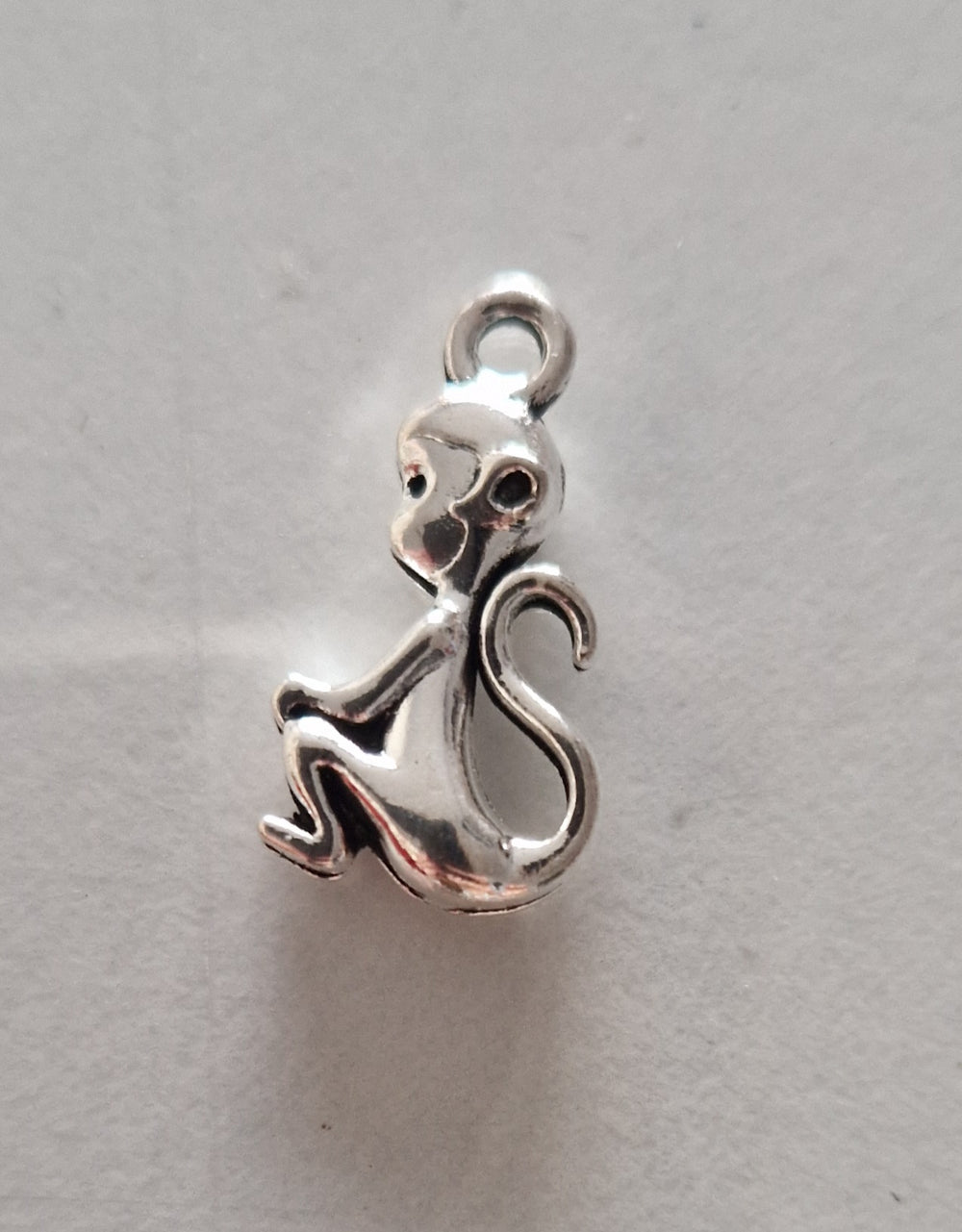 CHARM Singe